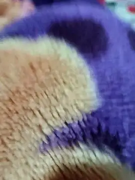 Snapshot of sana-5 chatting on 15, 3, 2026 sana-5 online show from 15, 3, 2026