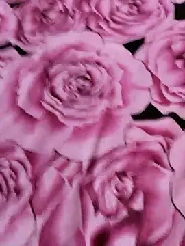 Snapshot of sana-5 chatting on 14, 4, 2026 sana-5 online show from 14, 4, 2026