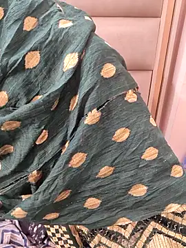 Indian-Aleena online show from 17, 2, 2026