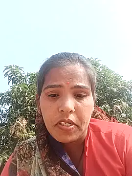 Cut rajbati online show from 21, 11, 2025