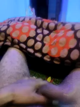 pppppp7811 online show from 14, 2, 2026