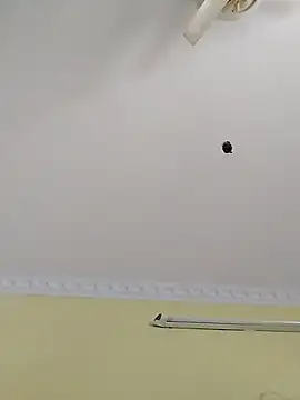 Monika Telugu Girl online show from 14, 11, 2025