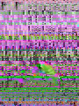 Snapshot of bihf_dam chatting on 14, 4, 2026 bihf dam online show from 14, 4, 2026