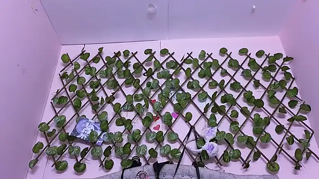 Snapshot of katalinathxandbritney1 chatting on 24, 9, 2025 katalinathxandbritney1 online show from 24, 9, 2025