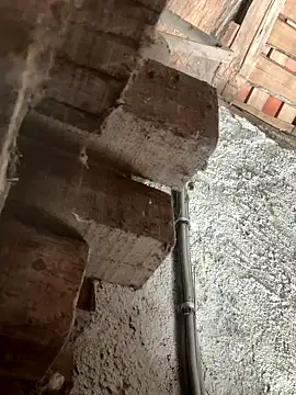 fcach2244 online show from 9, 9, 2025