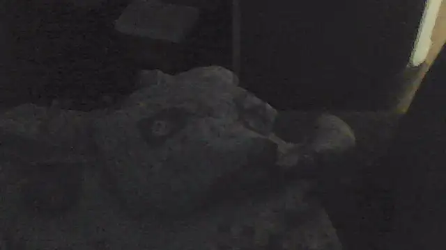 sarahkat86 online show from 13, 11, 2025