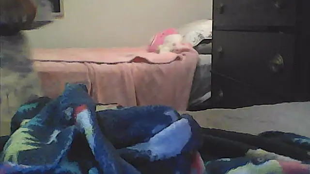 sarahkat86 online show from 10, 1, 2026