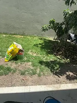 XUCRUTES42 online show from 7, 2, 2026