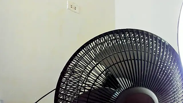 David niet online show from 4, 11, 2025