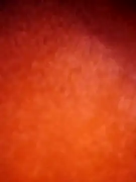 amolicars online show from 21, 11, 2025