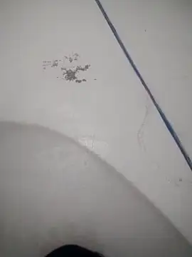 Celestial Field online show from 9, 4, 2026