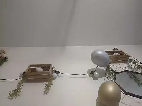 Snapshot of nousmeme0123 chatting on 20, 2, 2026 nousmeme0123 online show from 20, 2, 2026