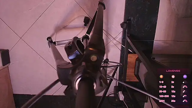 Terraelowen online show from 4, 11, 2025