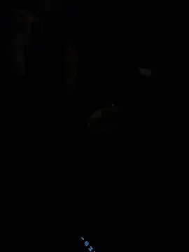 HorneyCowboy154 online show from 25, 2, 2026