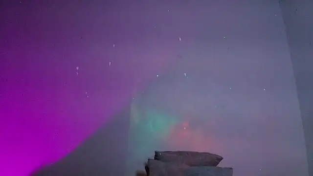 m rosee online show from 9, 3, 2026