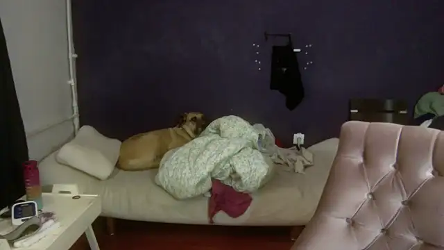 turkishTransEfsun online show from 3, 11, 2025