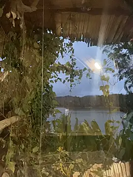 Snapshot of Just_Isaa chatting on 31, 1, 2026 Just Isaa online show from 31, 1, 2026