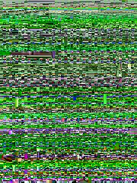Snapshot of Jake_Chris chatting on 1, 7, 2026 Jake Chris online show from 1, 7, 2026