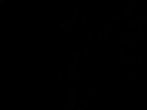 allybluee777 online show from 7, 3, 2026