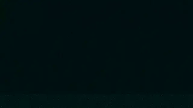 Snapshot of LeeCox chatting on 21, 12, 2024 LeeCox online show from 21, 12, 2024