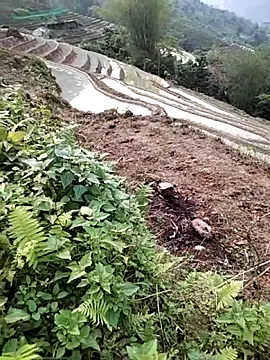 Snapshot of PhamPm70 chatting on 2, 4, 2026 PhamPm70 online show from 2, 4, 2026