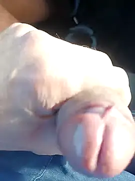 pegaso369 online show from 27, 11, 2025