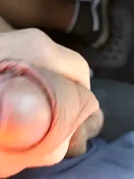 pegaso369 online show from 17, 3, 2026