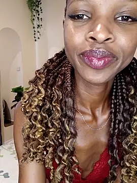 Nedambale online show from 6, 2, 2026