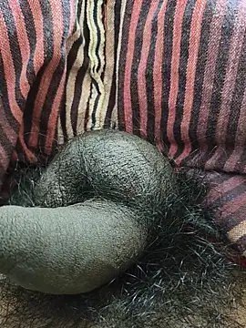 Bio-teacher online show from 18, 12, 2025