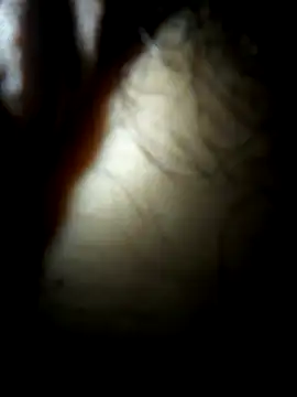 luislimafuego online show from 4, 10, 2025