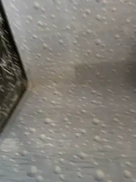 NoddingScorpion online show from 25, 11, 2025