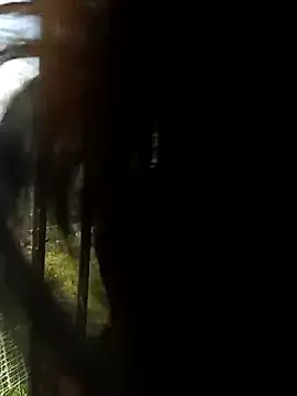 Snapshot of Vikyvoyeur chatting on 18, 2, 2026 Vikyvoyeur online show from 18, 2, 2026