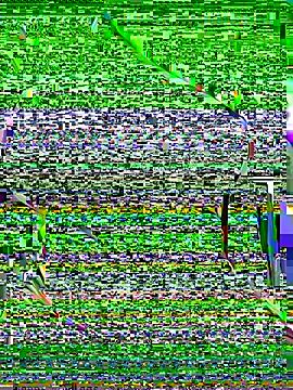 Snapshot of OrchidBae chatting on 8, 10, 2025 OrchidBae online show from 8, 10, 2025