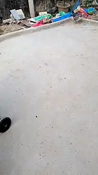 smallcuute online show from 4, 3, 2026