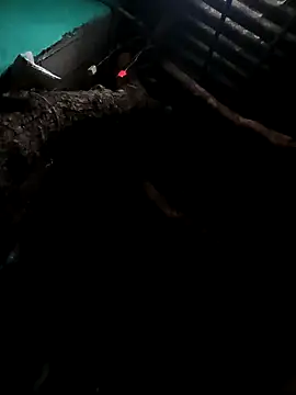 Suhana pandit online show from 29, 9, 2025