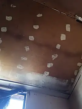 lucho2328 online show from 17, 1, 2026