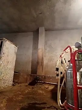 Snapshot of ezgi2545 chatting on 22, 2, 2026 ezgi2545 online show from 22, 2, 2026