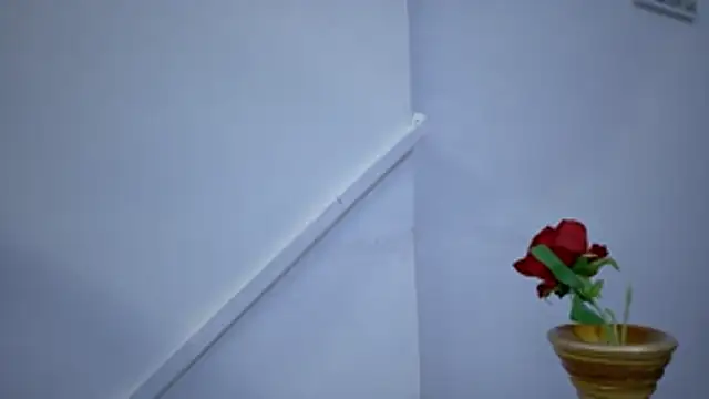 Lizbeth Rouse online show from 15, 11, 2025