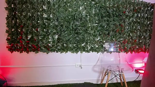 Snapshot of BellaRoux1 chatting on 14, 2, 2026 BellaRoux1 online show from 14, 2, 2026