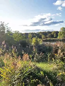 FavoriteKira online show from 20, 9, 2025