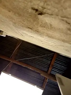 Snapshot of KruellaR1de3 chatting on 8, 1, 2026 KruellaR1de3 online show from 8, 1, 2026