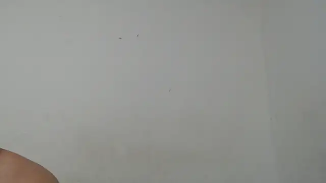 Snapshot of Ana_ThiagoxX chatting on 14, 9, 2025 Ana ThiagoxX online show from 14, 9, 2025