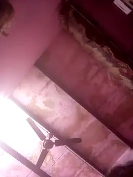 TINASONI online show from 3, 2, 2026