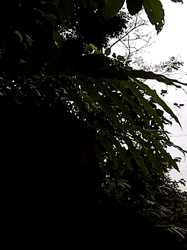 linda bae00 online show from 5, 11, 2025