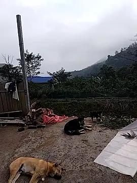 linda bae00 online show from 19, 12, 2025