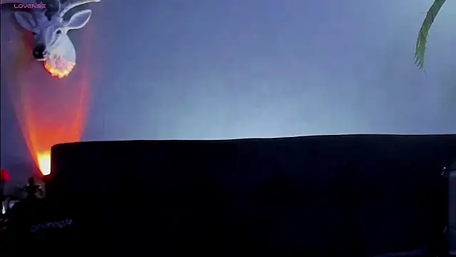 dennis cox1 online show from 2, 3, 2026