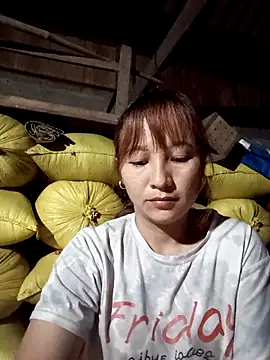 Mini3333 online show from 9, 4, 2026