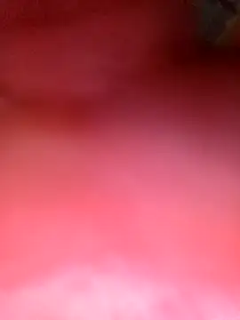 phunphun online show from 24, 11, 2025