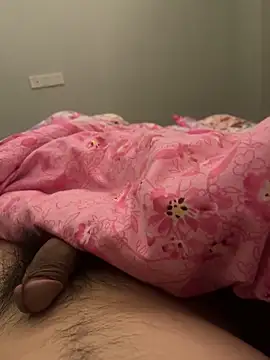 Hl1979 online show from 22, 2, 2026