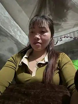 adbosa 00 online show from 12, 3, 2026